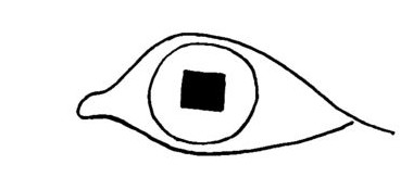 all seeing eye, the first one